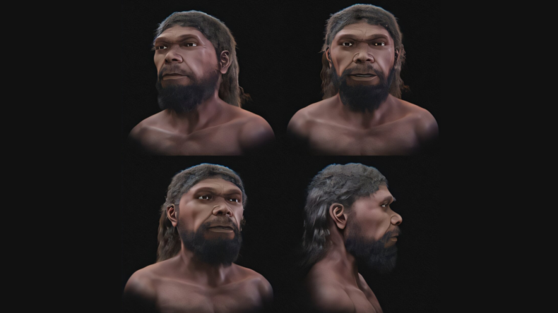 Ученые воссоздали лицо Homo sapiens возрастом 315 000 лет