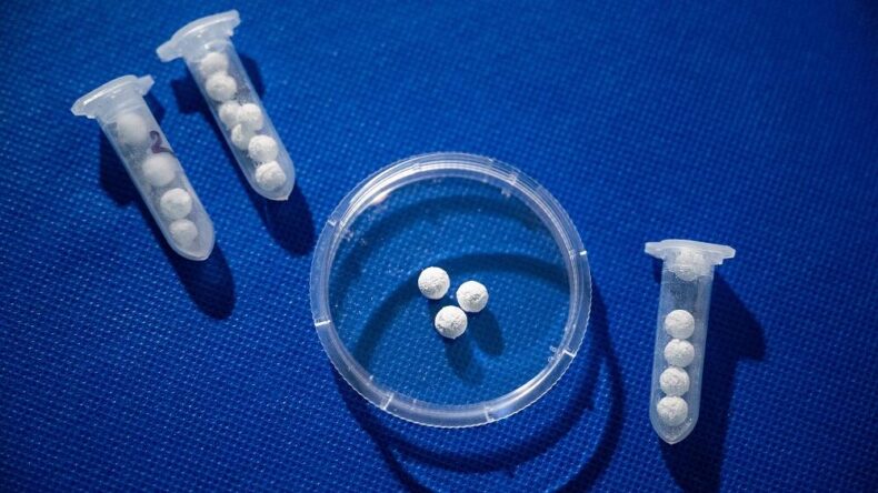 Ученые МИСИС создали пористые гранулы для костей с защитой от инфекций