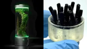 Учёные создали батарею по образцу кишечника человека — она вырабатывает электричество с помощью бактерий