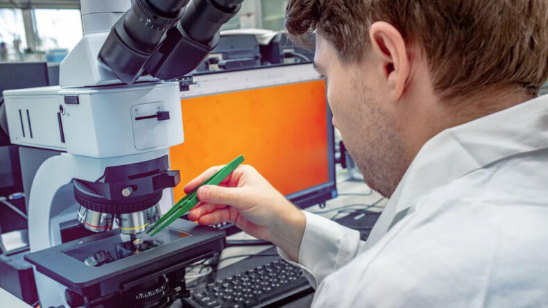 Прозрачная керамика позволит наблюдать за восстановлением тканей